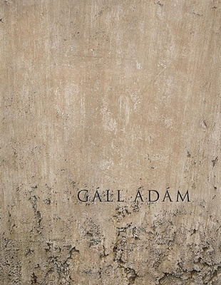 Gáll Ádám